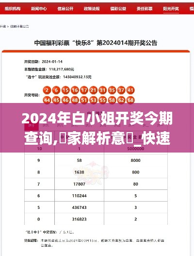 2024年白小姐开奖今期查询,專家解析意見_快速版DIA13.53