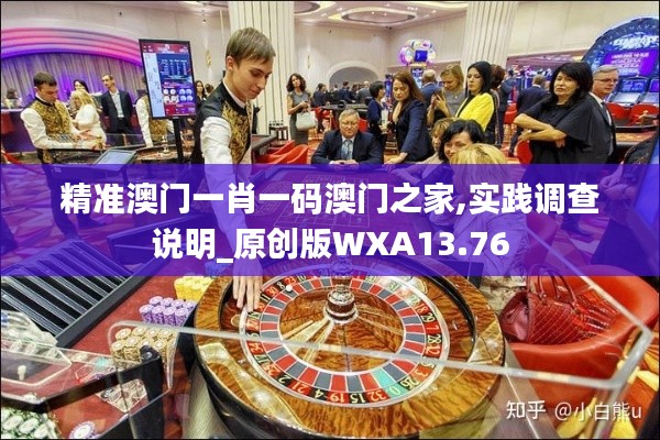 精准澳门一肖一码澳门之家,实践调查说明_原创版WXA13.76