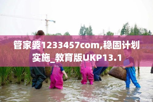 管家婆1233457com,稳固计划实施_教育版UKP13.1