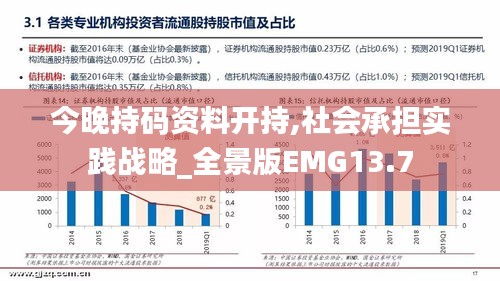 今晚持码资料开持,社会承担实践战略_全景版EMG13.7