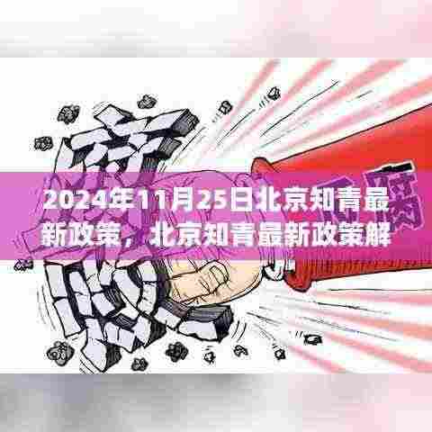 北京知青最新政策解读,聚焦未来动向(截至2024年11月25日)