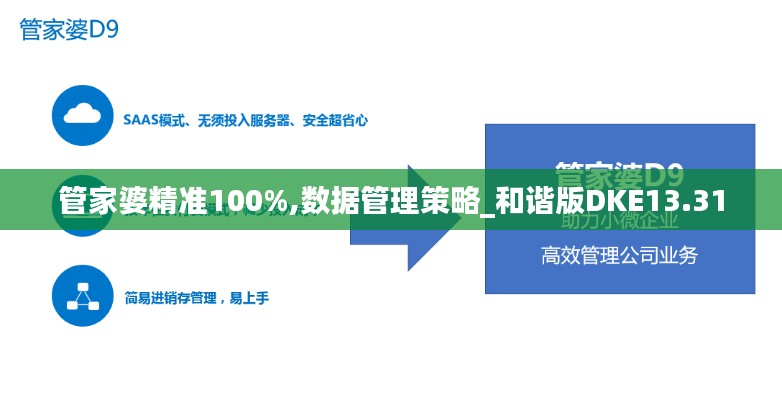 管家婆精准100%,数据管理策略_和谐版DKE13.31