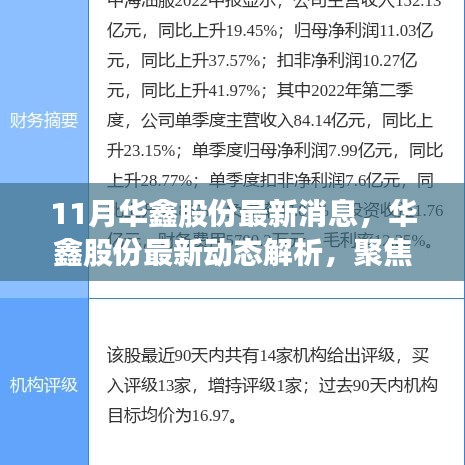 华鑫股份11月最新动态解析，聚焦消息，透视各方观点与个人立场