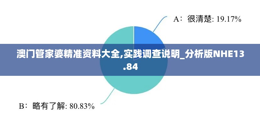 澳门管家婆精准资料大全,实践调查说明_分析版NHE13.84