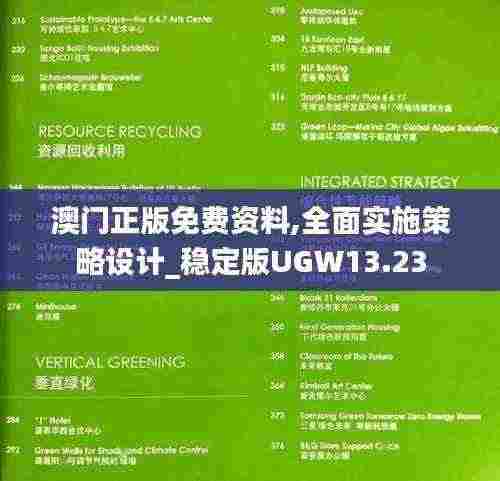澳门正版免费资料,全面实施策略设计_稳定版UGW13.23