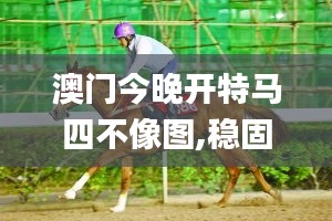 澳门今晚开特马四不像图,稳固计划实施_模块版ZLD13.88