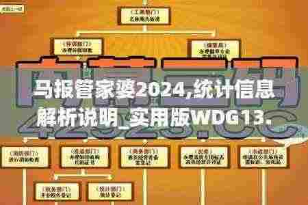 马报管家婆2024,统计信息解析说明_实用版WDG13.98