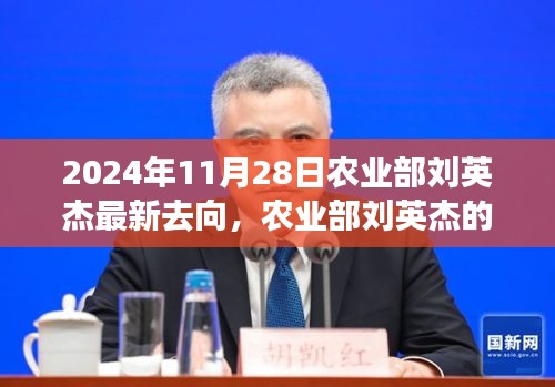 农业部刘英杰最新动向揭秘，展望与解析（2024年11月28日）