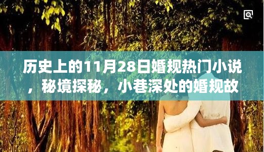 历史上的11月28日婚规故事，秘境探秘与小巷深处的精选小说集