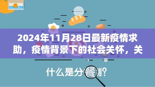 最新疫情求助与社会关怀，探讨疫情背景下的关怀行动