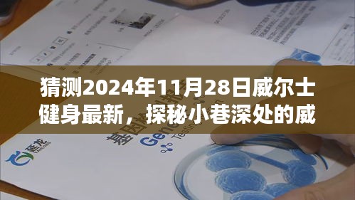 探秘威尔士健身秘境，2024年11月28日隐藏版健身小店最新动态