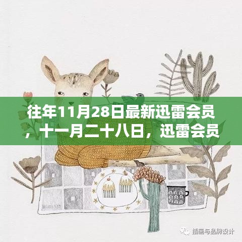 十一月二十八日迅雷会员的奇妙日常与暖心友情回顾