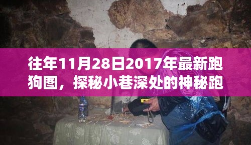 探秘小巷深处的神秘跑狗图与特色小店，独特记忆之2017年跑狗图回顾