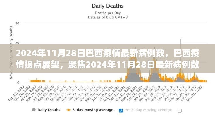 2024年11月28日巴西疫情最新动态与拐点展望