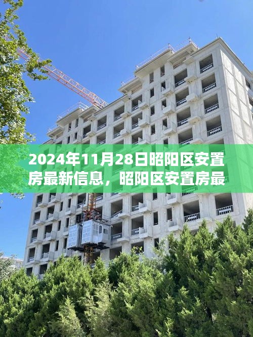 昭阳区安置房最新动态揭晓，2024年11月28日安居新动向揭秘！