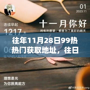 秋日的网络奇遇，往年热热门与今日温情的交汇点