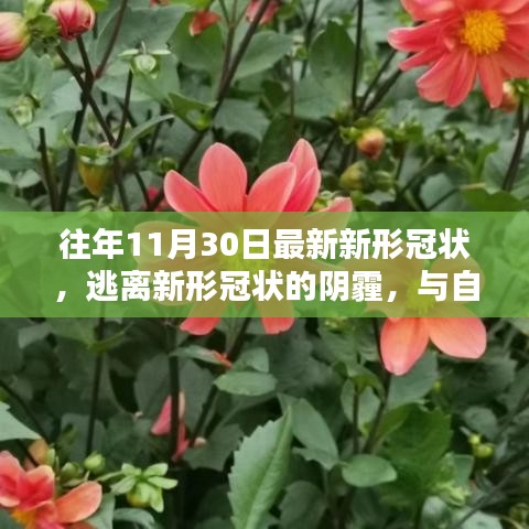 逃离新冠疫情阴霾，与自然美景的不期而遇之道