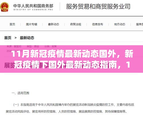 国外新冠疫情最新动态指南，11月应对与自我防护全攻略