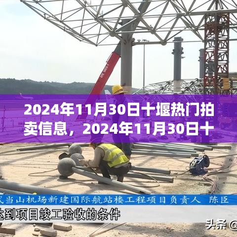 2024年11月30日十堰热门拍卖信息全景解析