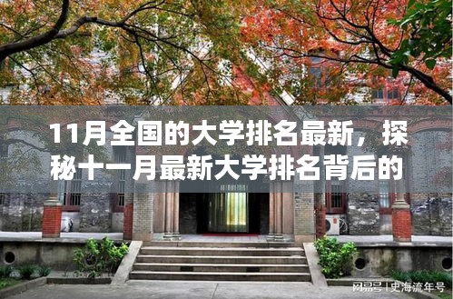 十一月大学排名揭晓，探秘小巷特色小店背后的校园排名故事