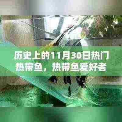 不拘小节 第6页