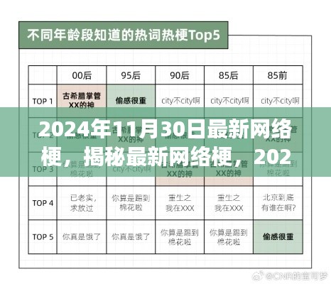 揭秘现象级网络流行文化，最新网络梗解读，2024年11月30日独家揭秘！