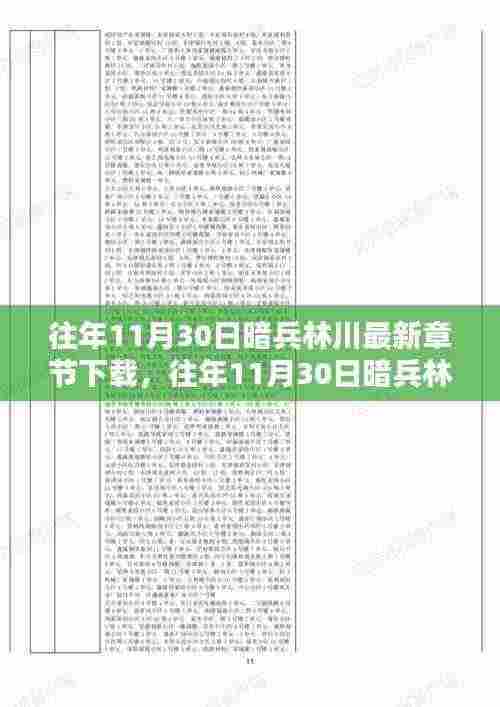 往年11月30日暗兵林川最新章节下载及全面评测介绍