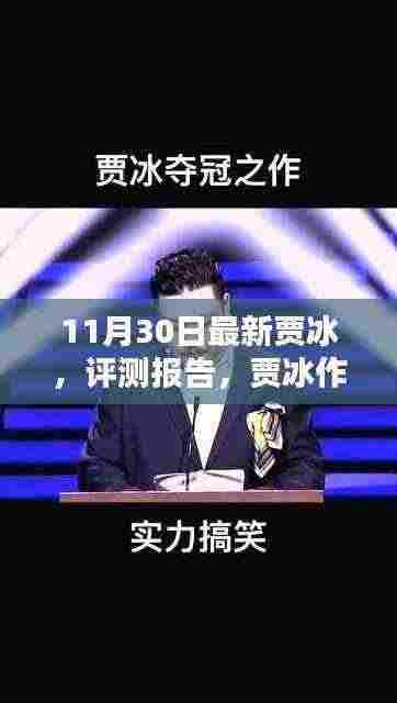 最新贾冰评测报告及作品深度解析(XXXX年11月30日版)