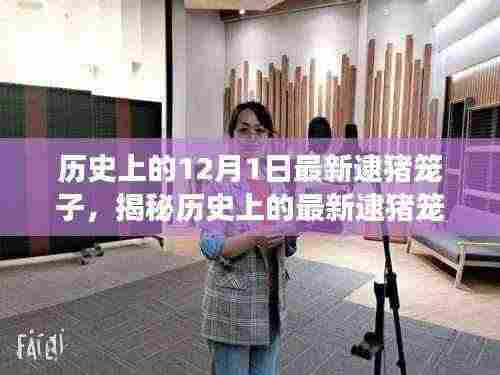 揭秘历史中的逮猪笼子,事件回顾与深度解析