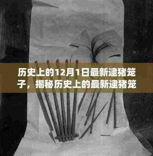 揭秘历史中的逮猪笼子,事件回顾与深度解析