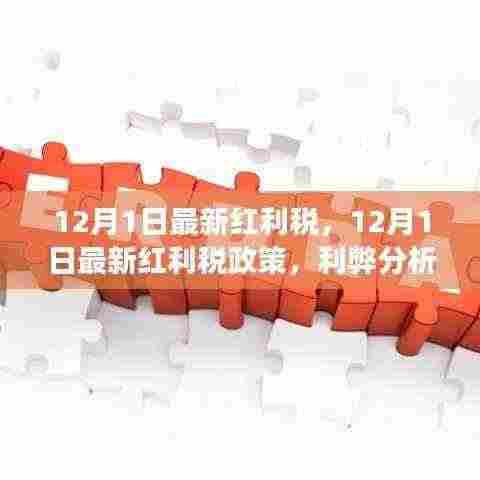 12月1日最新红利税政策解析,利弊分析与个人立场观点