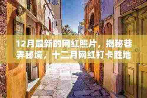 揭秘巷弄秘境,十二月网红打卡胜地——巷尾特色小店的魅力与独特风采