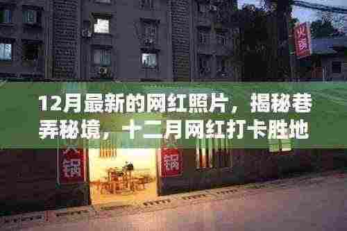 揭秘巷弄秘境,十二月网红打卡胜地——巷尾特色小店的魅力与独特风采