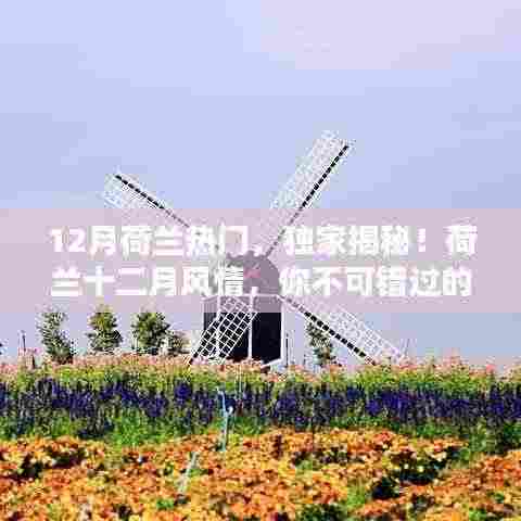 独家揭秘!荷兰十二月风情,精彩瞬间,不容错过!