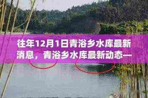 青浴乡水库建设进展深度解读，最新动态与科学视角观察报告