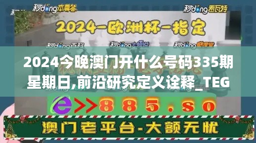 2024今晚澳门开什么号码335期星期日,前沿研究定义诠释_TEG99.935私人版
