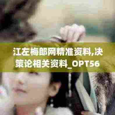 江左梅郎网精准资料,决策论相关资料_OPT56.549赋能版