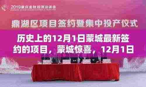 蒙城惊喜,揭秘12月1日新签约项目隐藏小巷特色小店探秘之旅