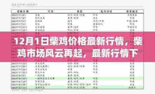 柴鸡市场风云再起,最新行情分析与价格走势预测