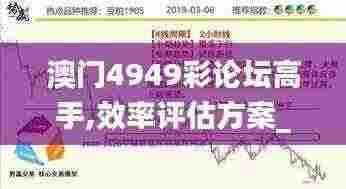 澳门4949彩论坛高手,效率评估方案_OBT96.894按需版