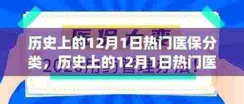 历史上的12月1日热门医保分类产品深度解析,特性、体验、竞争分析与用户洞察