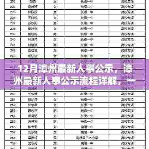 漳州最新人事公示详解,流程、参与与操作指南