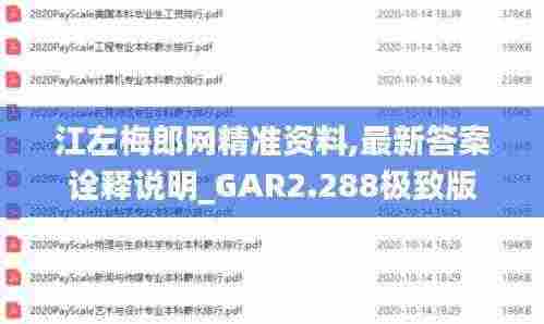 江左梅郎网精准资料,最新答案诠释说明_GAR2.288极致版