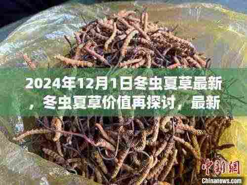 2024年视角下的冬虫夏草价值深度探讨,最新观点与分析