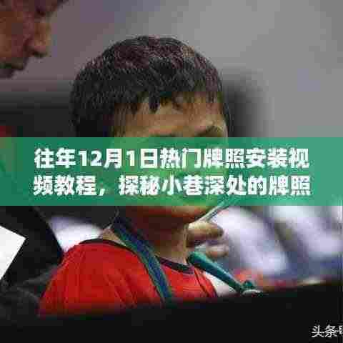 探秘热门牌照安装视频教程,小巷深处的宝典,轻松掌握安装技巧