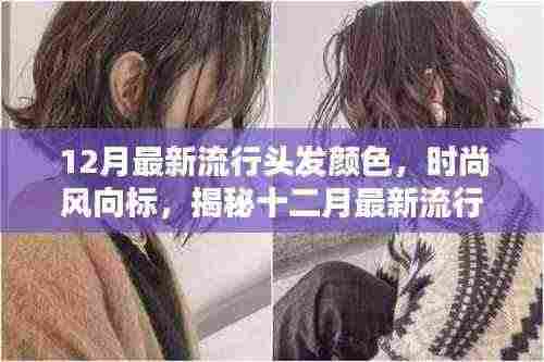 揭秘时尚风向标,十二月最新流行头发颜色趋势解析