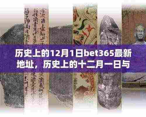 关于bet365最新动态与十二月一日的历史科普文章,犯罪行为的警示与解析。