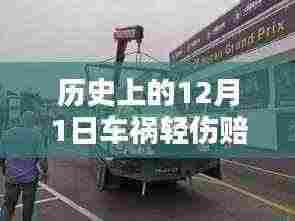 笼鸟槛猿 第5页