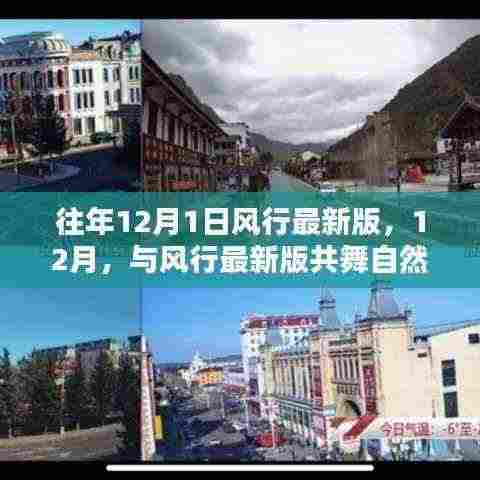 风行最新版下的心灵静谧之旅,与时光共舞