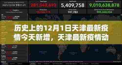 天津疫情动态解析,历史上的12月1日与今日疫情新增全面解析指南
